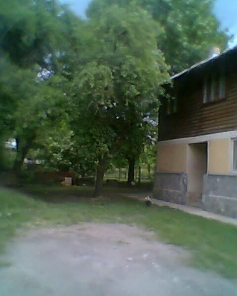 Гостевой дом Vila Elena si Ionut Бряза-40